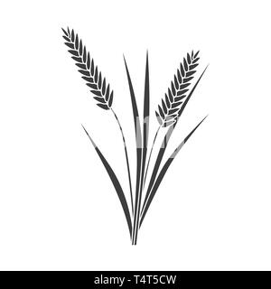 Detail Rice Grain Vector Png Nomer 26