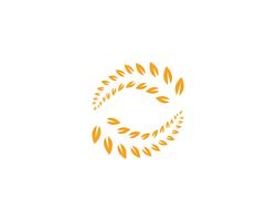 Detail Rice Grain Vector Png Nomer 27