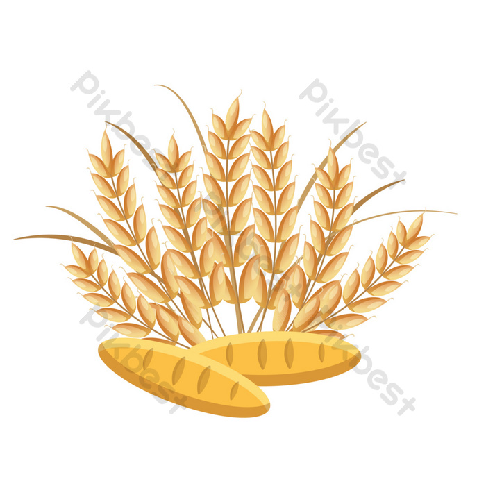 Detail Rice Grain Vector Png Nomer 37