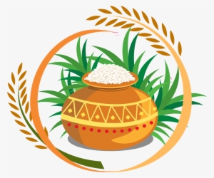 Detail Rice Grain Vector Png Nomer 39