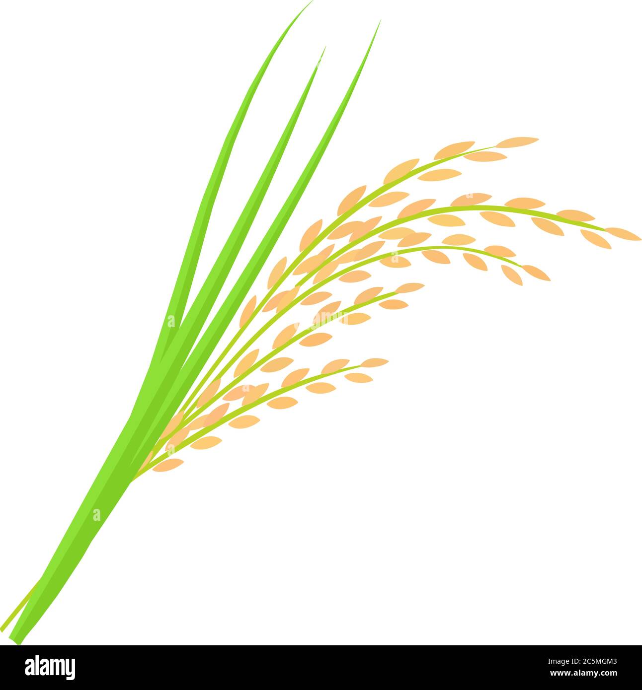 Detail Rice Grain Vector Png Nomer 40