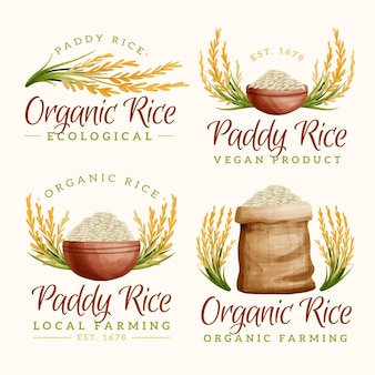 Detail Rice Logo Png Nomer 30
