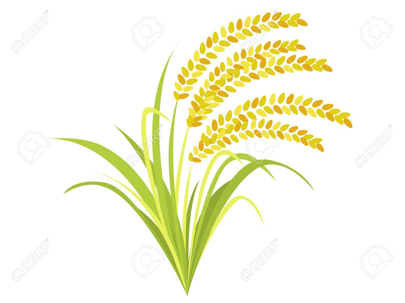 Detail Rice Plant Png Nomer 37