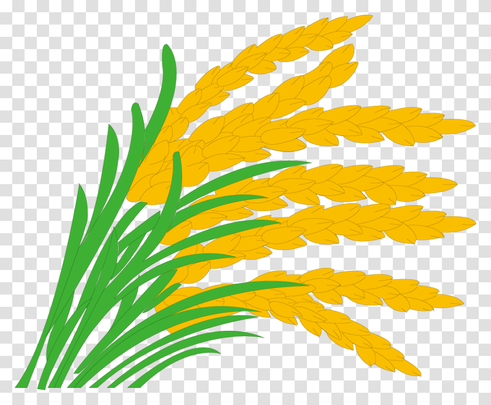 Detail Rice Plant Png Nomer 9