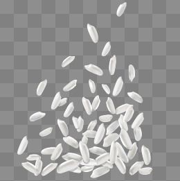 Detail Rice Vector Png Nomer 22