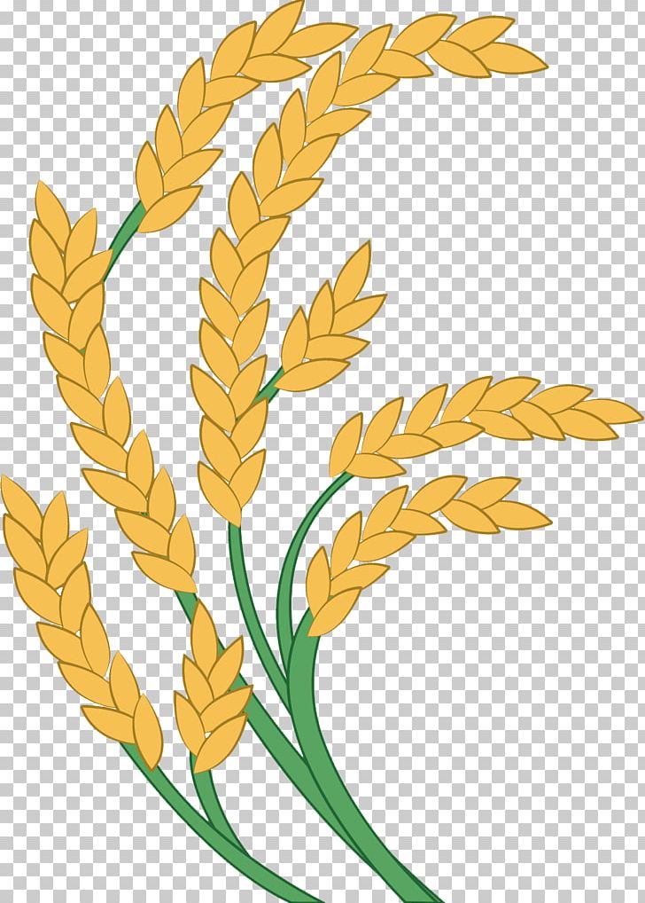 Detail Rice Vector Png Nomer 28