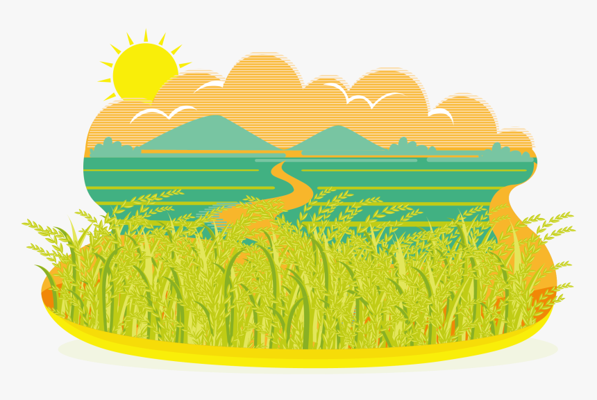 Detail Rice Vector Png Nomer 48