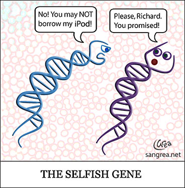 Detail Richard Dawkins The Selfish Gene Quotes Nomer 23