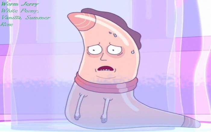 Detail Rick And Morty Jerry Slug Nomer 35