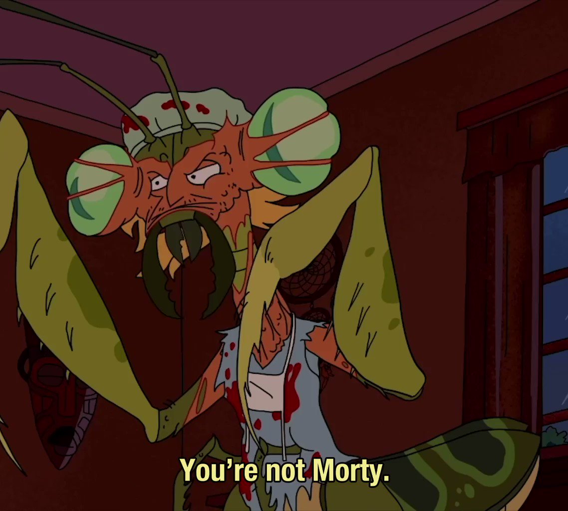 Detail Rick And Morty Praying Mantis Nomer 13