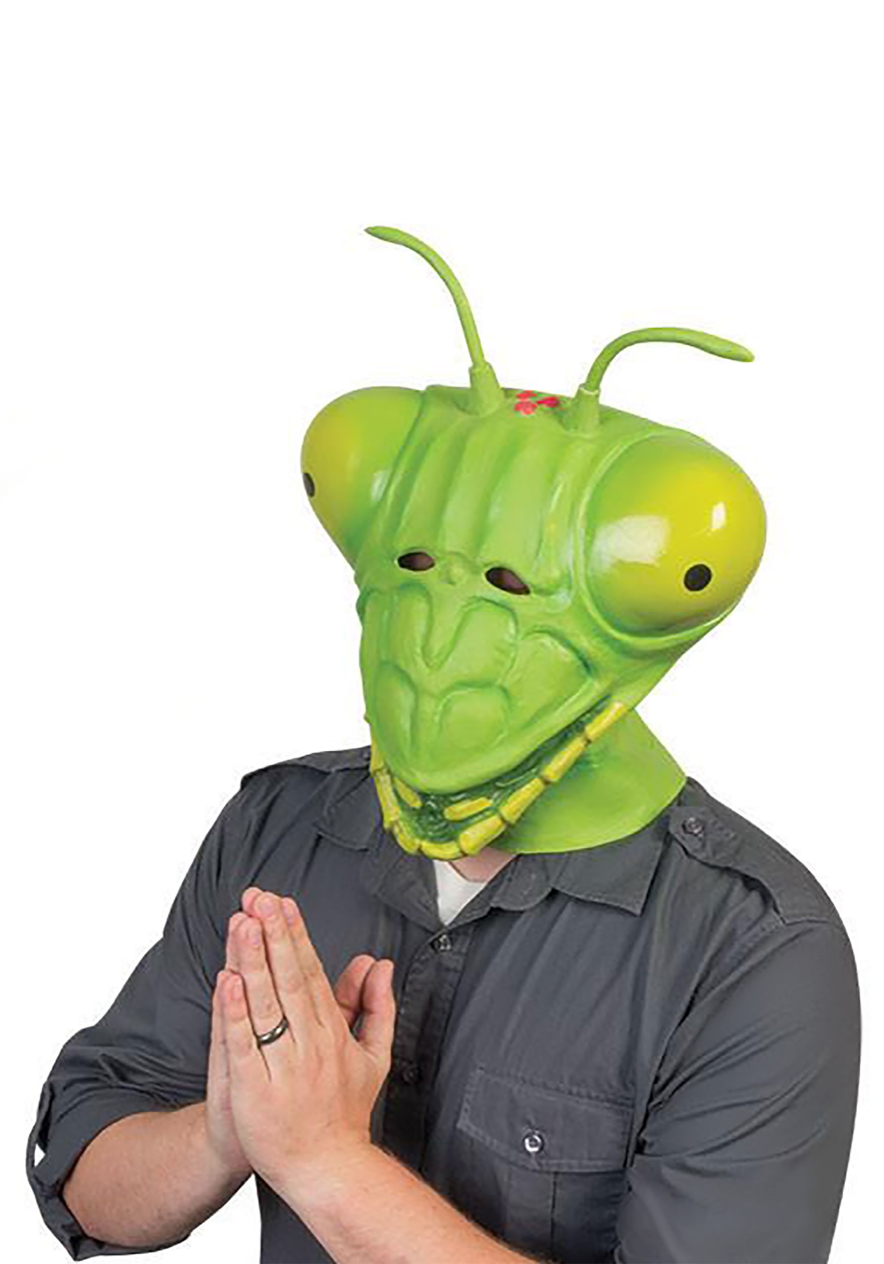 Detail Rick And Morty Praying Mantis Nomer 46
