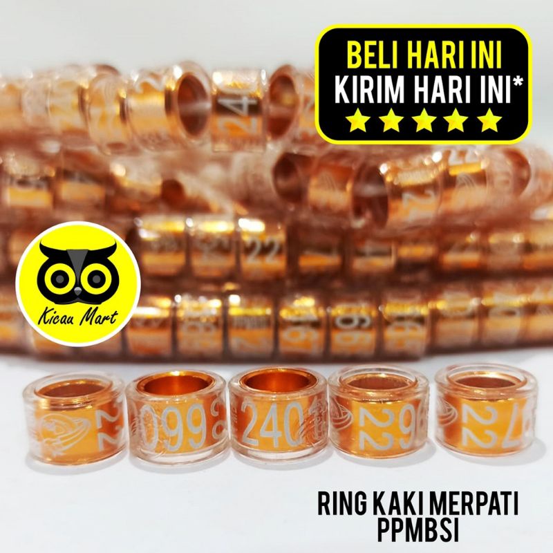 Detail Ring Burung Dara Terkenal Nomer 41