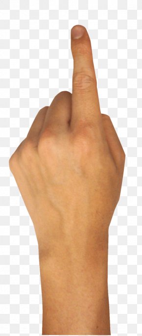 Detail Ring Finger Png Nomer 13