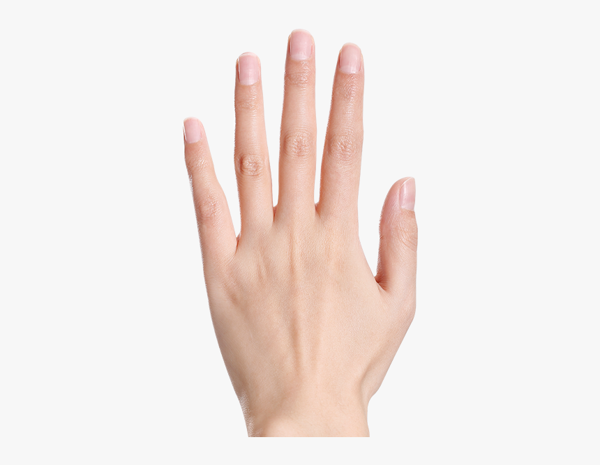 Detail Ring Finger Png Nomer 15