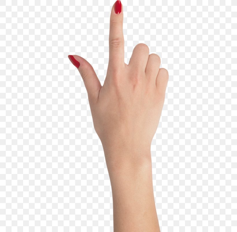 Detail Ring Finger Png Nomer 17