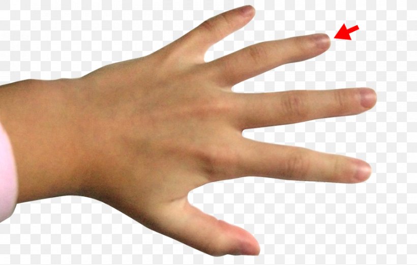 Detail Ring Finger Png Nomer 3