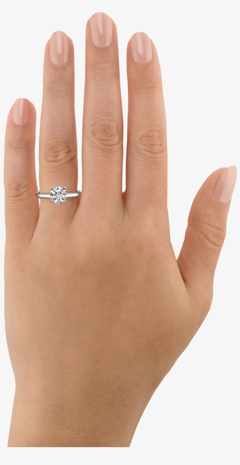 Detail Ring Finger Png Nomer 31