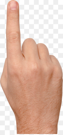 Detail Ring Finger Png Nomer 5
