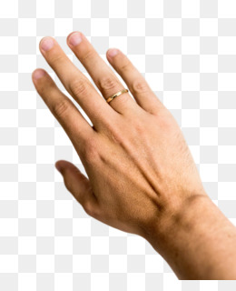 Detail Ring Finger Png Nomer 46