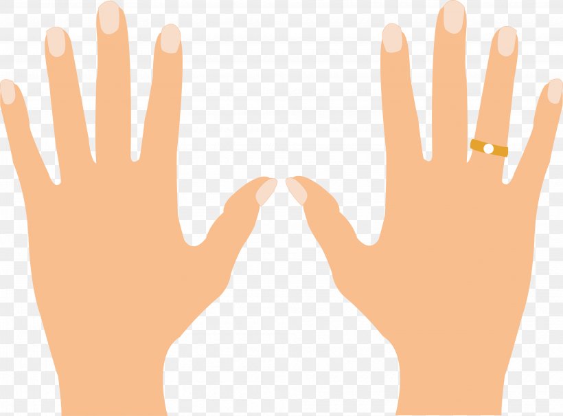 Detail Ring Finger Png Nomer 7
