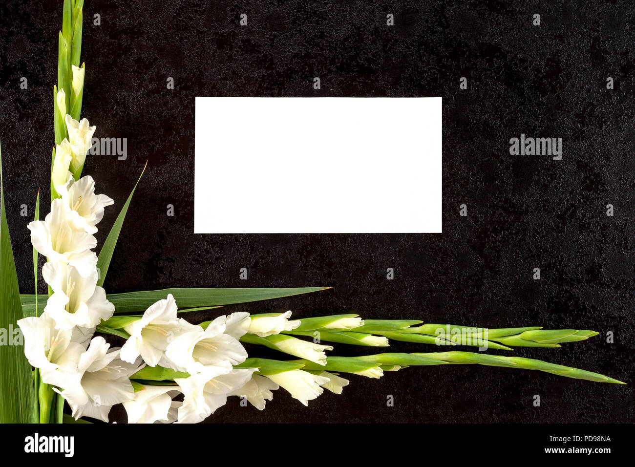 Detail Rip Flowers Images Nomer 4