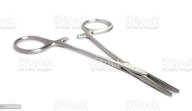 Detail Roach Clip Scissors Nomer 21