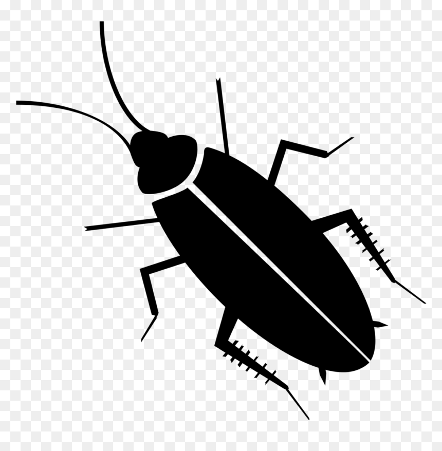 Detail Roach Clipart Nomer 16