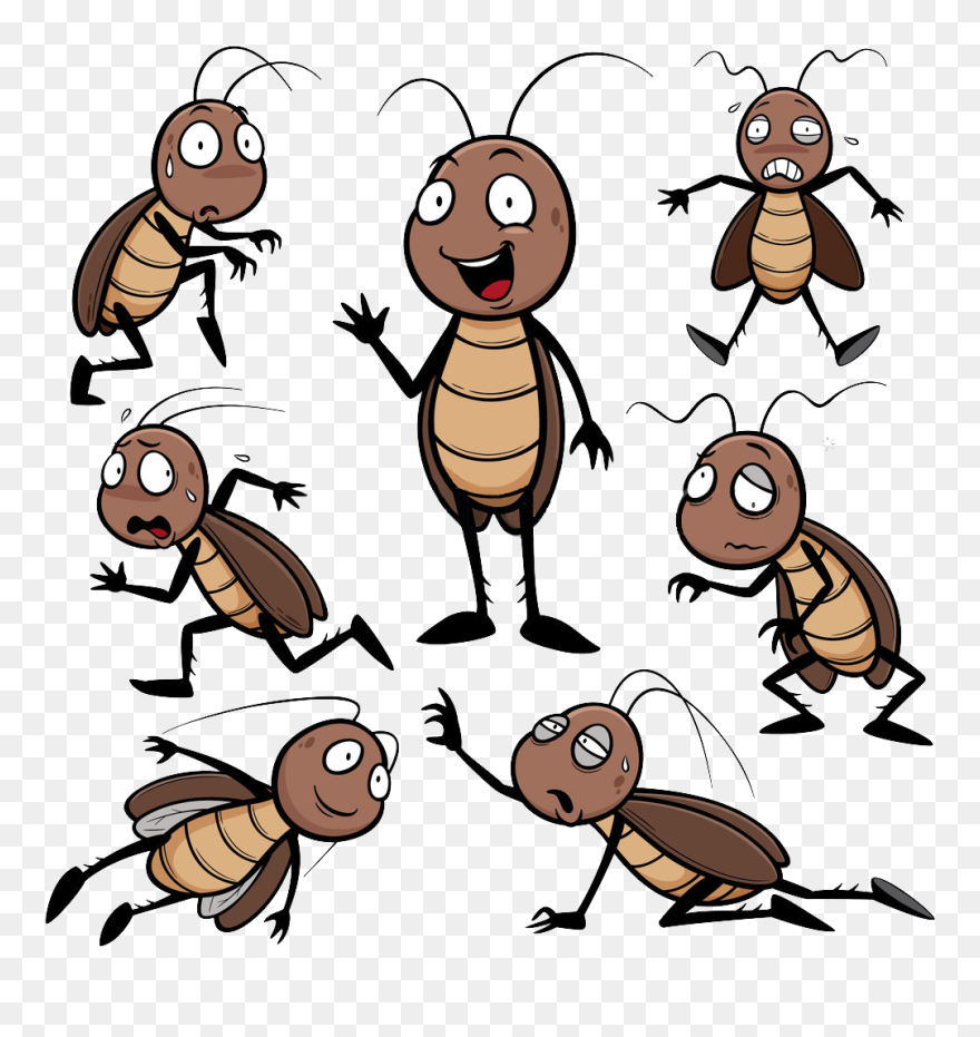 Detail Roach Clipart Nomer 41