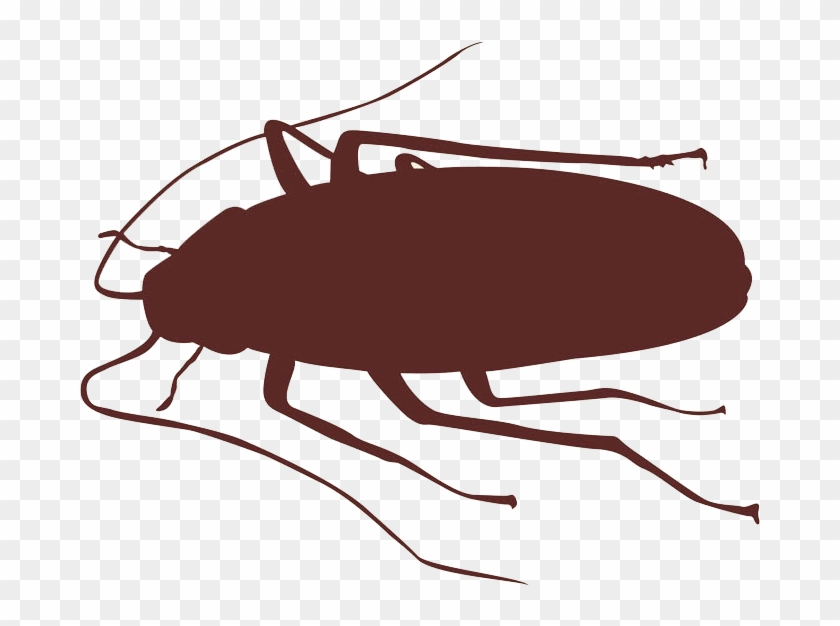 Detail Roach Clipart Nomer 42