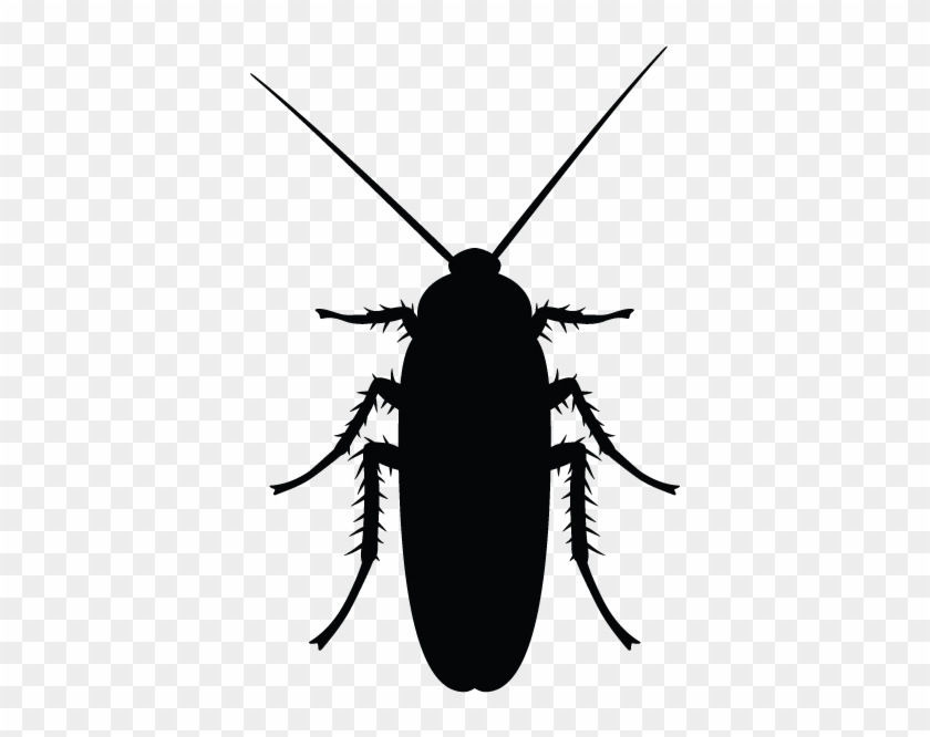 Detail Roach Clipart Nomer 48