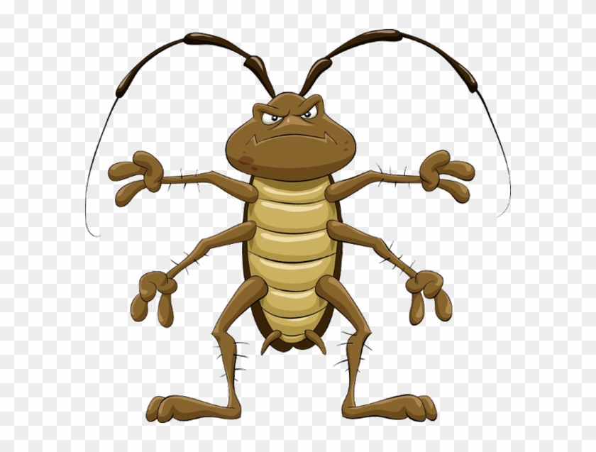 Detail Roach Clipart Nomer 53