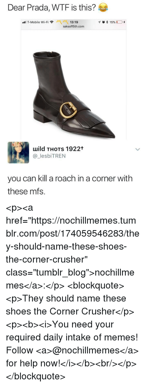 Detail Roach Killer Shoes Nomer 42