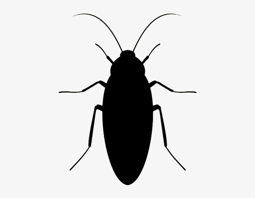 Detail Roach Transparent Nomer 28