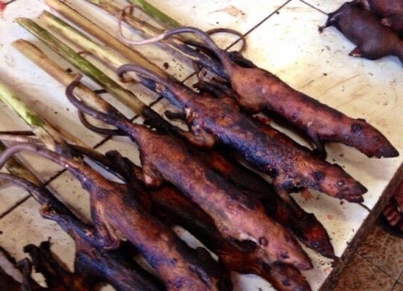 Detail Roasted Rat On A Stick Nomer 9