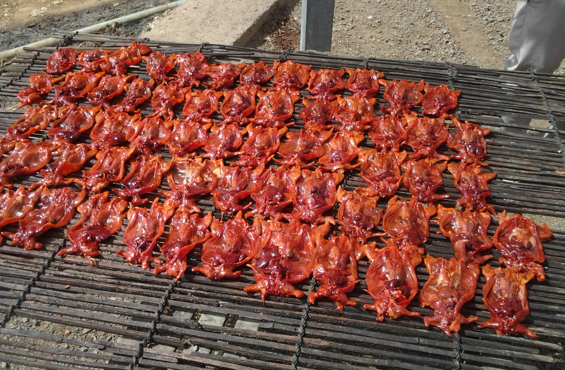 Detail Roasted Rat On A Stick Nomer 12