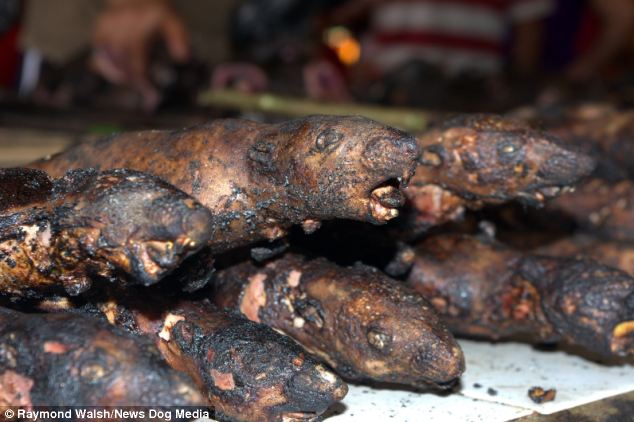 Detail Roasted Rat On A Stick Nomer 17