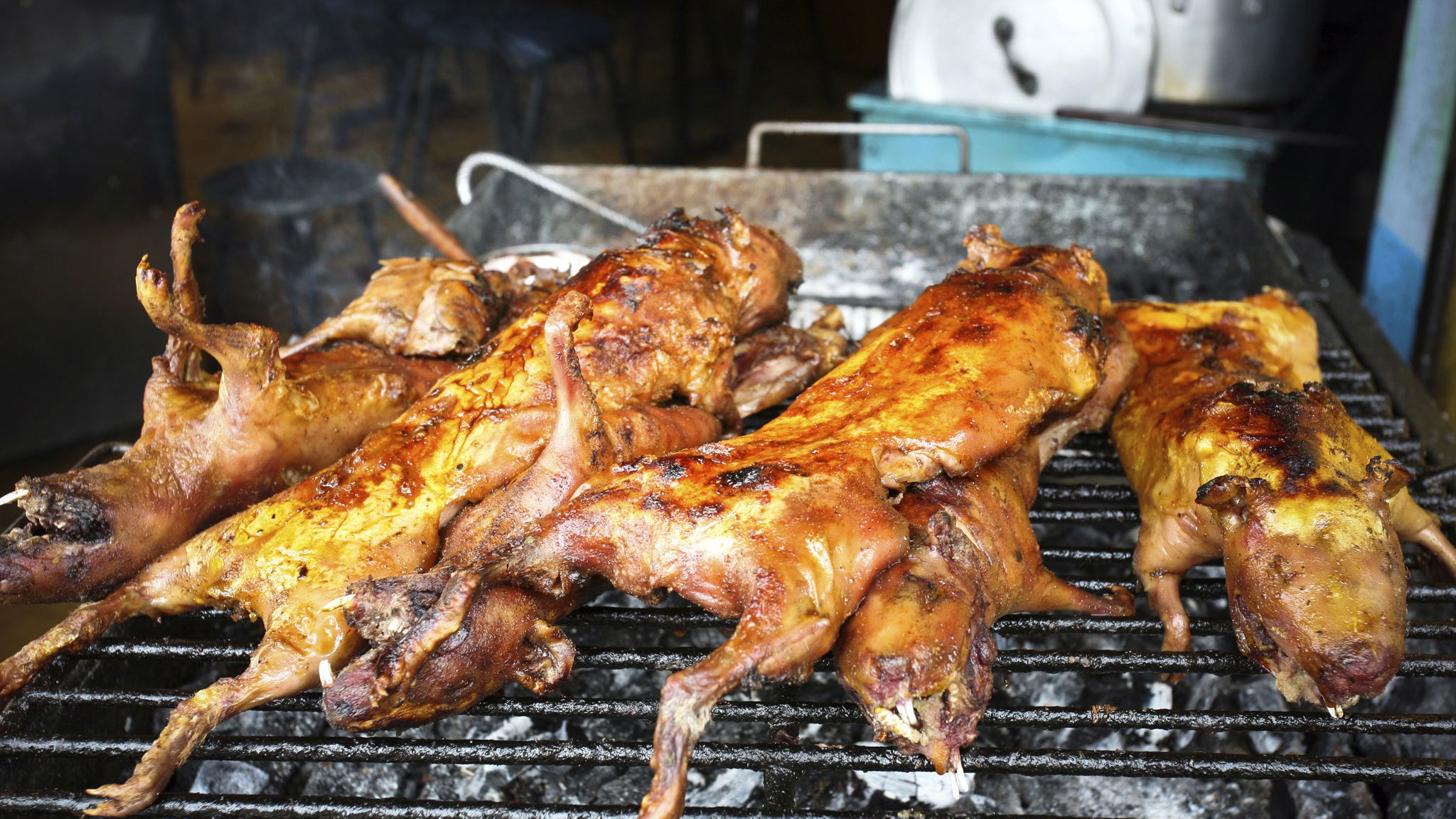 Detail Roasted Rat On A Stick Nomer 21