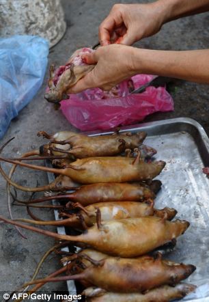 Detail Roasted Rat On A Stick Nomer 3