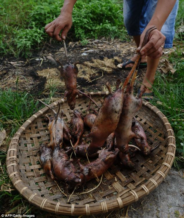 Detail Roasted Rat On A Stick Nomer 5