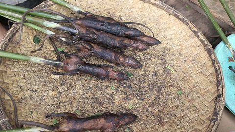 Detail Roasted Rat On A Stick Nomer 48