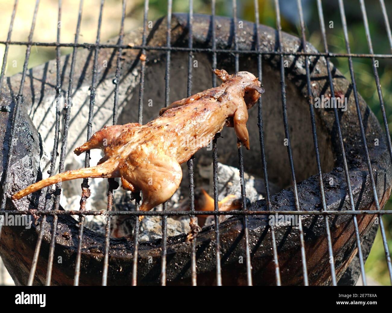 Detail Roasted Rat On A Stick Nomer 8