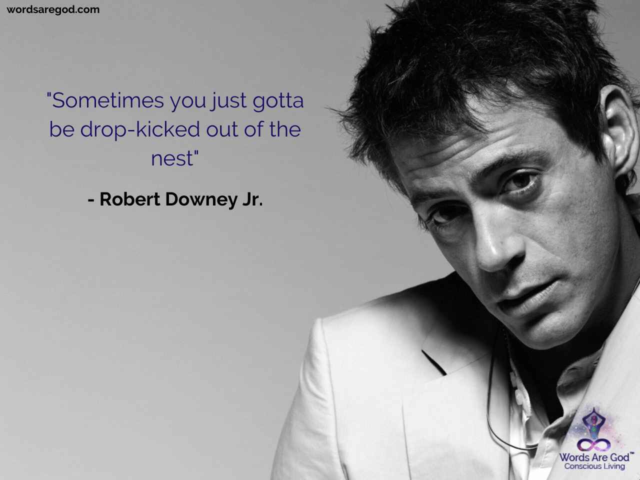 Detail Robert Downey Jr Quotes Nomer 36