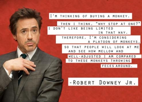 Detail Robert Downey Jr Quotes Nomer 41