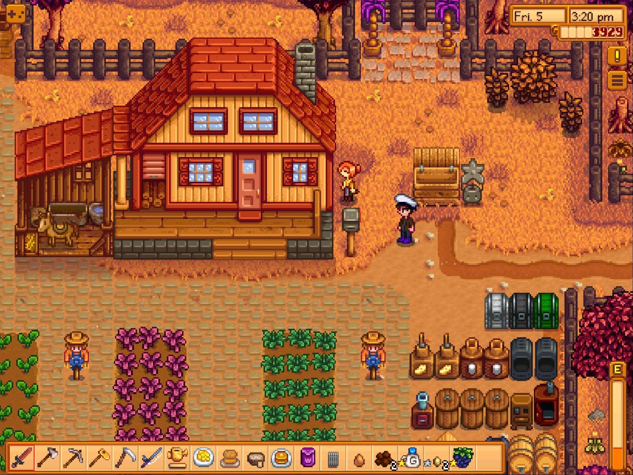 Detail Robin Stardew Valley Nomer 18