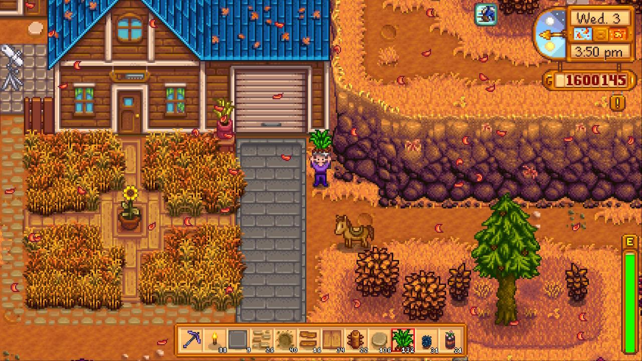 Detail Robin Stardew Valley Nomer 52