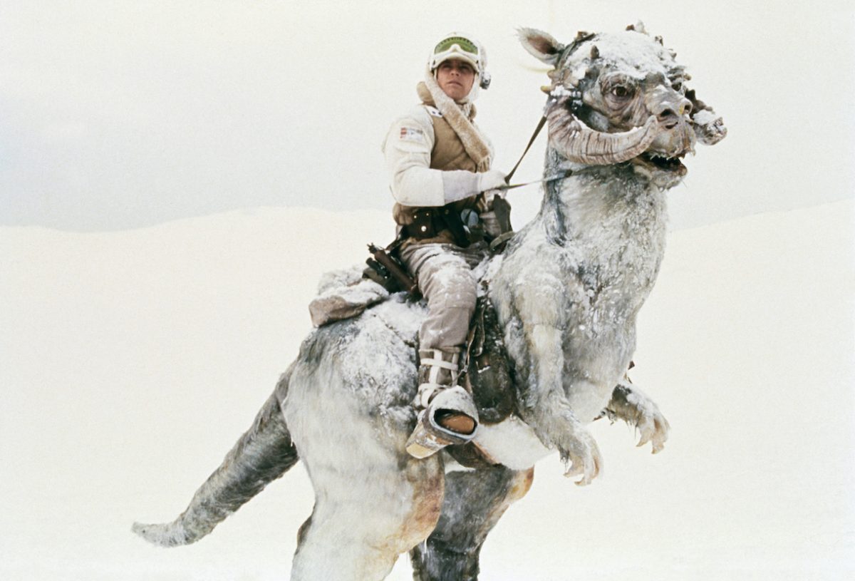 Detail Robot Camel Star Wars Nomer 19