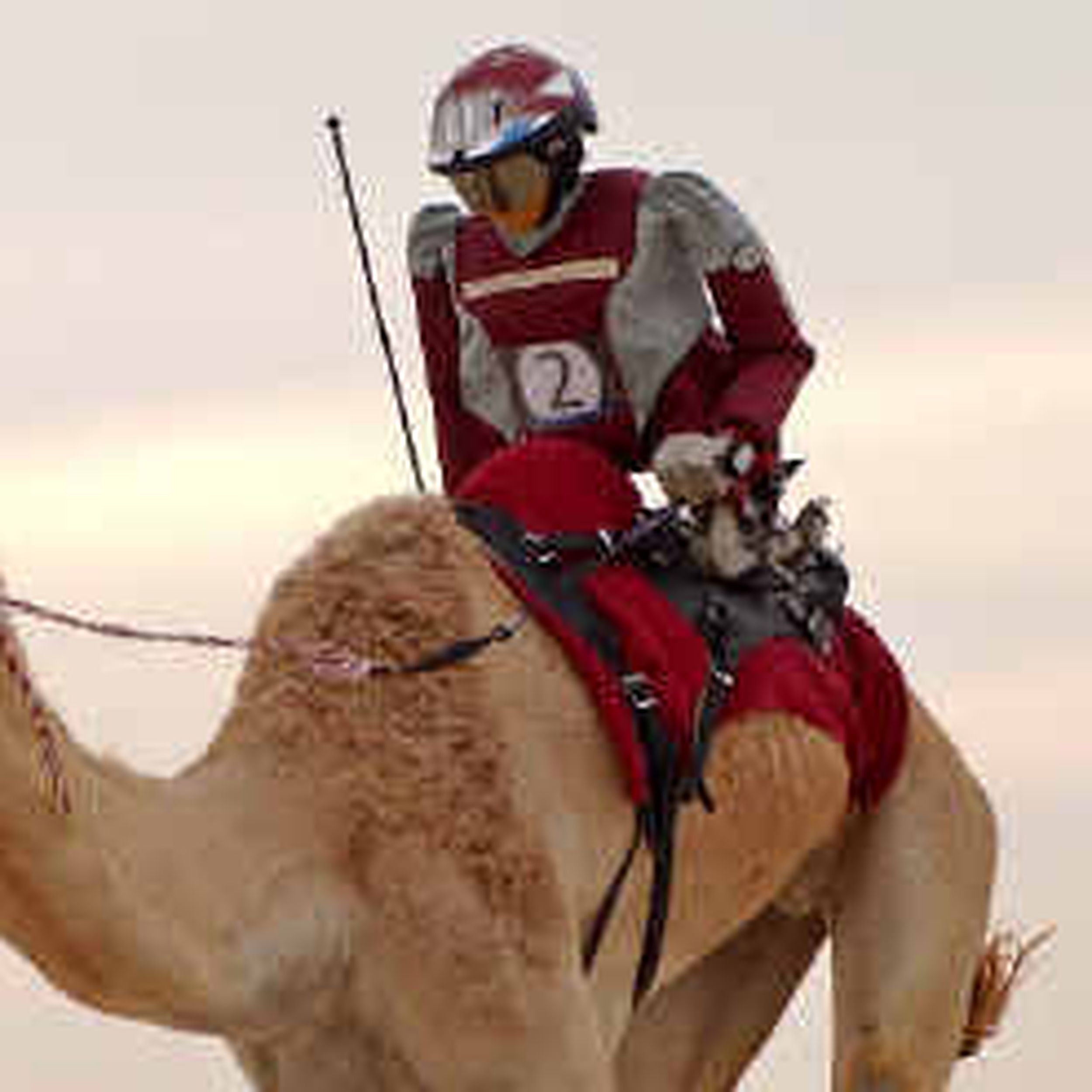 Detail Robot Camel Star Wars Nomer 51