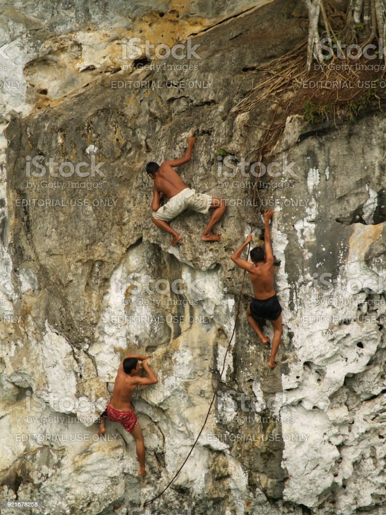 Detail Rock Climbing Indonesia Nomer 40