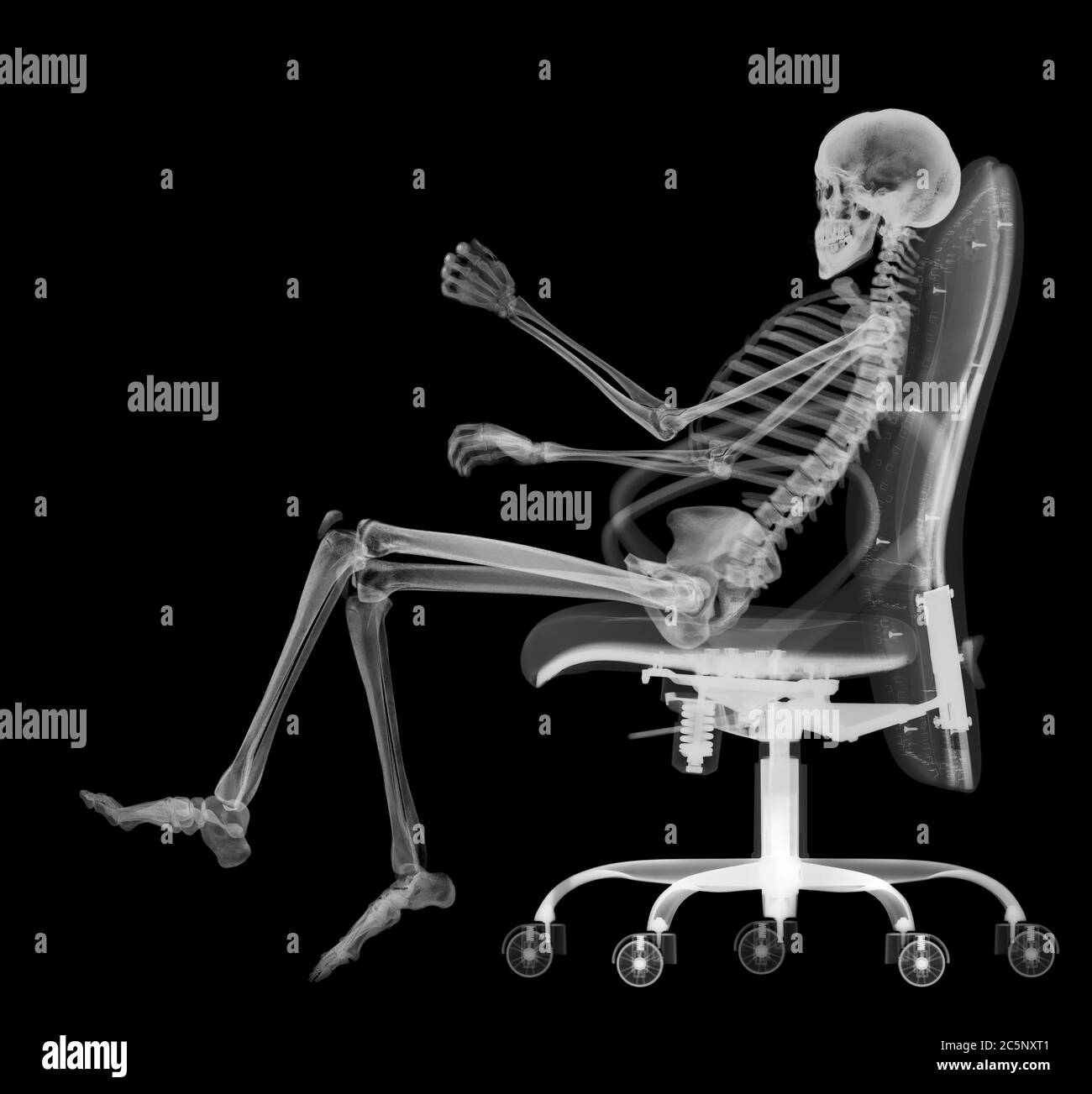 Detail Rocking Chair Skeleton With Cat Nomer 24