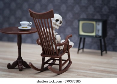 Detail Rocking Chair Skeleton With Cat Nomer 32